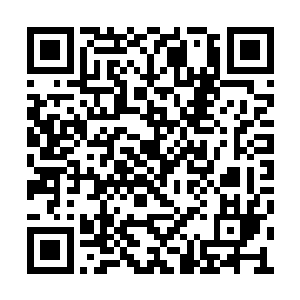 只有得到天族传承的修士才能进入到巨人的口中二维码生成