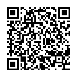 只有成年人五分之一力量的小孩子踩死蚂蚁难道需要两脚不成二维码生成