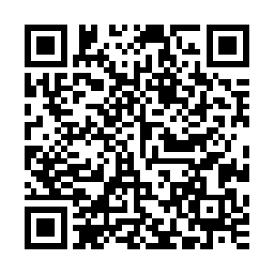 只有我一人能看见这路……难道没人感觉到它释放出来的灵气二维码生成