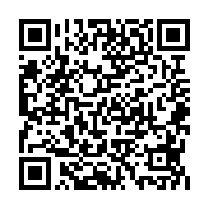 只有扯上将主长孙居在自己身后当大旗才有效果二维码生成