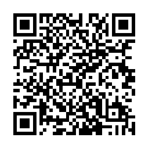 只有数个在寒仙山里有身份的仙家敢于问起了一旁的白素仙二维码生成