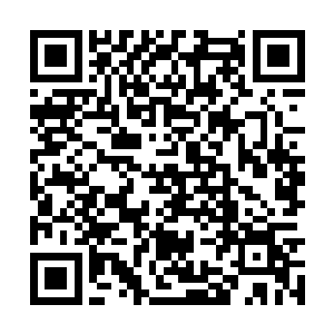 只有本体是血族之身的某人才有这样的胆气跟魄力二维码生成