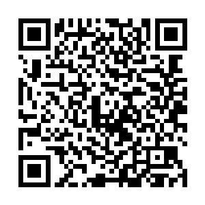 只有极少数阶位低的混沌兽和域外天魔哀嚎着死亡之后二维码生成