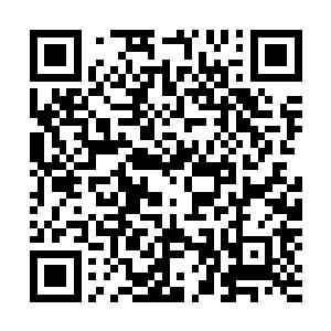 只有武学修为高深到一定程度的武圣境界武道家在灵光一闪二维码生成