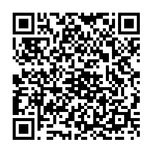 只有眼睁睁的看着那么多圣皇将天地神水当成自己的囊中之物來争夺二维码生成