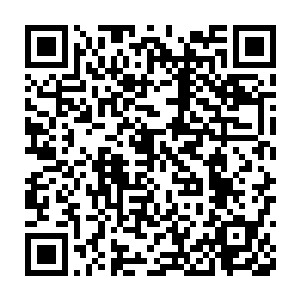 只有石台之上的五把极品后期巅峰先天仙剑还始终钉立在石台之上二维码生成