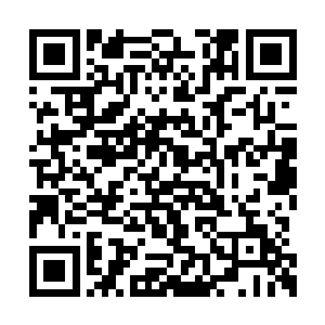 只有穆根腰部那么高的微型服务员长得非常可爱二维码生成