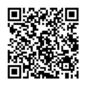 只有精神力常的异能者与几个高阶施法者才得以幸免二维码生成