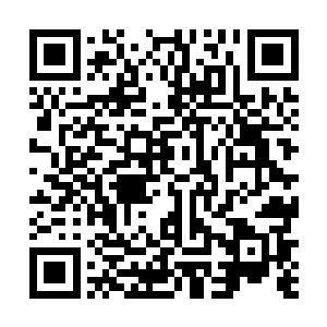 只有经历过的人才知道抵御那冰焰的恐怖渗入有多艰难二维码生成