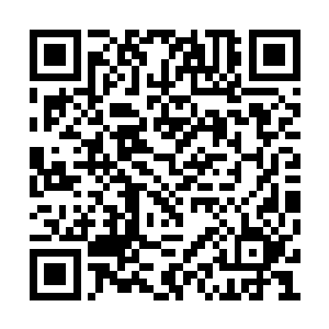 只有苏墨尘一个人抱着伊诺斯歪歪扭扭地向外走二维码生成