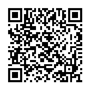 只有西夏因为缺少粮食只能老老实实地当一只虎二维码生成