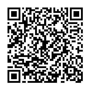 只有许紫烟又用了半年的时间将那个半步仙王期的螭龙元神上的神识抹去二维码生成