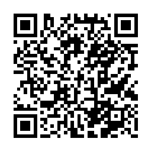 只有足够强大的木行之力才能镇压得了金乌真火二维码生成