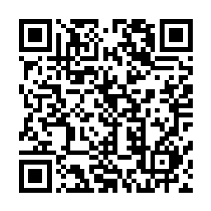 只有这个才刚刚认识的小屁孩儿让他抓狂却又对她无可奈何二维码生成