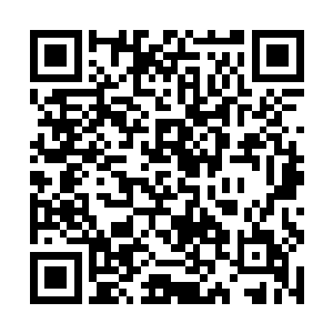 只有这样才能解救天脉雪陆上已经陷入危险的平民们二维码生成