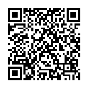 只有这种超强高度浓缩蕴含五行元素的神品神丹才是这样二维码生成