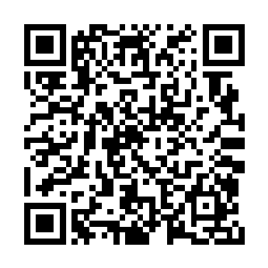 只有通过了府里的考核才会被四大家族给挑选走二维码生成
