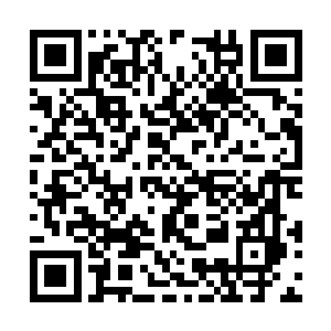 只有那个今天在码头鱼市放生沙鳞得到的救赎之果二维码生成