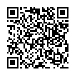 只有那个圣级大圆满后期巅峰的混沌兽出现在许紫烟的对面二维码生成