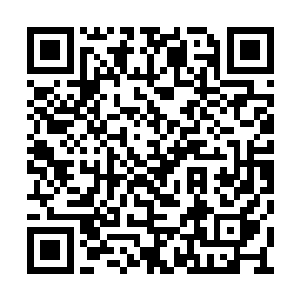 只有那么愣愣的看着那力道十足的一腿抽向自己二维码生成