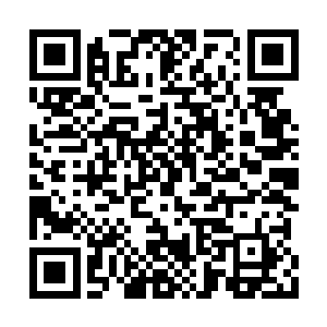 只有那些一般的佣兵才会选择靠着魔兽山脉生存二维码生成