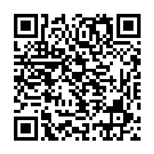 只有那些有钱人家的孩子才有机会把孩子送去上幼儿园的二维码生成