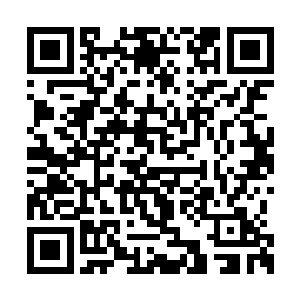 只有黑炎凰鸟拍翅声和墨梓熏突然出口的一句话二维码生成