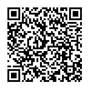 只期望自己的那几个域主同僚能尽可能地牵扯一下人族老祖的注意力二维码生成