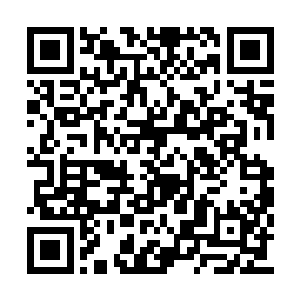 只用了不到百年的时间便成为了圣雪神教的长老二维码生成