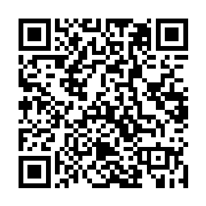 只留下两尺高的一截就足矣担当阻碍骑兵前进的任务了二维码生成