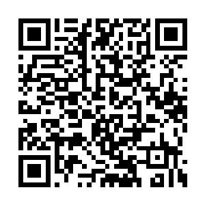 只留下他的一只眼睛……或许还包括一部分大脑二维码生成