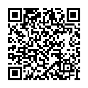 只留下刚出生几个月的小女儿交给卢四夫人抚养二维码生成