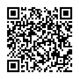 只留下无数古圣修士看着他残留于世间的三道剑意二维码生成