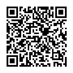 只看到了高冠孤傲的身影站在一处山坡上迎着海风而立二维码生成