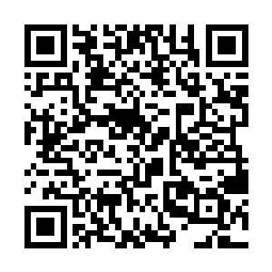 只看到少部分外地入京的官员会带着礼物去拜访秦相二维码生成