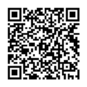 只看沈扬对墨无忧的态度就知道他对这个徒儿颇为满意二维码生成