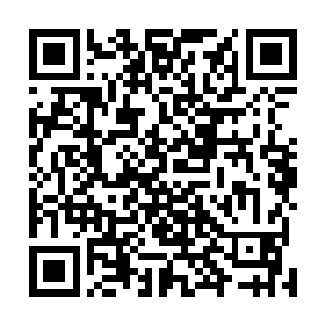 只看父亲的神色就知道父亲肯定是认识那个什么沈凤孺的二维码生成