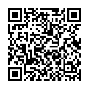 只看这一艘不比东北督护府督宰大人座驾要小的飞舟就知道了二维码生成