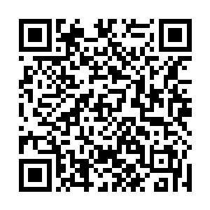 只等将林封谨身体里面那浑厚无比的全部龙气吸收殆尽二维码生成