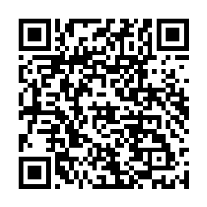 只管连方应物带马车一起从后门拉进了酒家后院里二维码生成