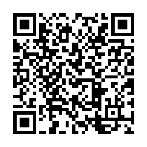 只能从怀里掏出特意为自己准备的金疮药拿给勃勃二维码生成