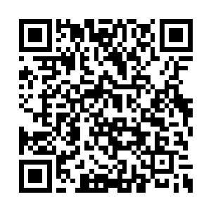 只能依靠宽阔剑锋本体提供一点微不足道的保护二维码生成