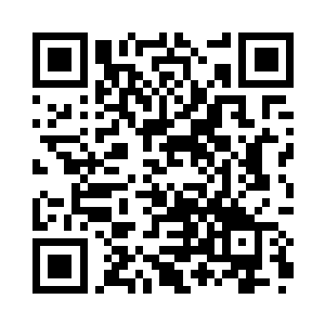 只能像是一个眼盲耳盲的残疾人似的胡乱猜测二维码生成