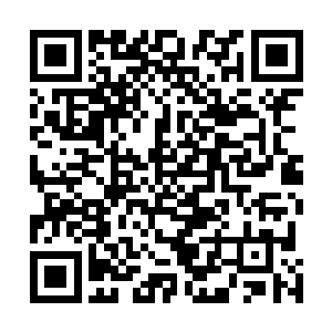 只能在心默默祈祷能顺利的在杜家问到武圣杜引墨的下落二维码生成