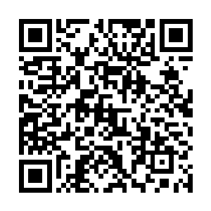 只能忍痛放弃数百具尸体的修炼天赋和他们的空间戒指二维码生成