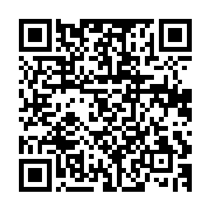 只能愣愣的看着风清扬带着足以灭杀一切的恐怖气息缓缓而来二维码生成