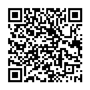 只能是满脸忧伤地看着被囚禁在一个透明鱼缸里的楚门二维码生成