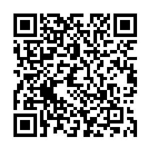 只能眼睁睁地看着那妖孽的小苗苗钻进了他家祭司的眉心里二维码生成