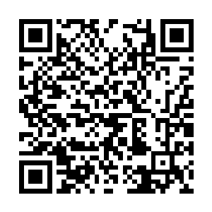 只能眼睁睁看着白小飞即将再一次落入尸兄们之口二维码生成