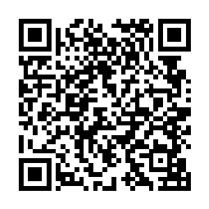 只能眼睁睁看着自己家族的子弟一个个陨落在恶魔手中二维码生成